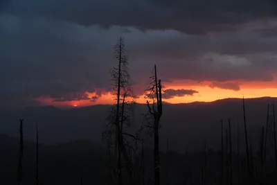 DSC_4580 (Large).JPG